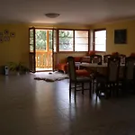 Arnika * Horní Planá