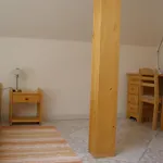 Arnika Apartment *