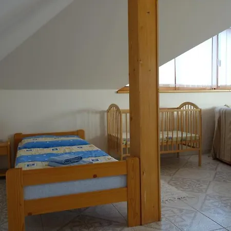 Arnika * Horní Planá