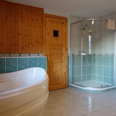 Arnika Horní Planá