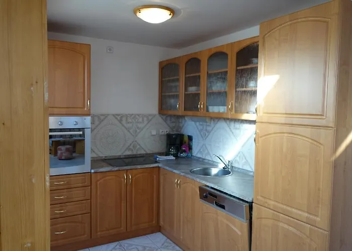 Arnika * Horní Planá